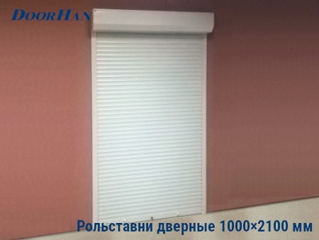 Рольставни на двери 1000×2100 мм в Уссурийске от 36394 руб.