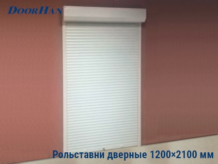 Рольставни на двери 1200×2100 мм в Уссурийске от 40089 руб.