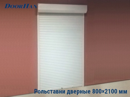 Рольставни на двери 800×2100 мм в Уссурийске от 32699 руб.